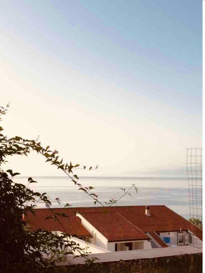 Openhouse - Loft - Casa Al Mare Villa Pizzo  Esterno foto